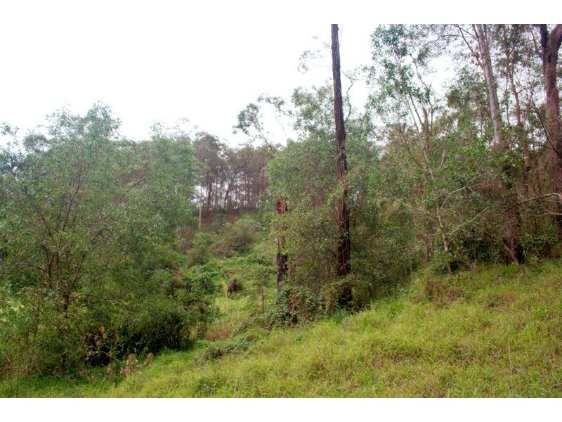 560 Gilston Road, Gilston QLD 4211