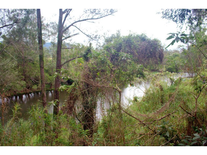 560 Gilston Road, Gilston QLD 4211