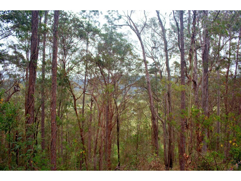 560 Gilston Road, Gilston QLD 4211