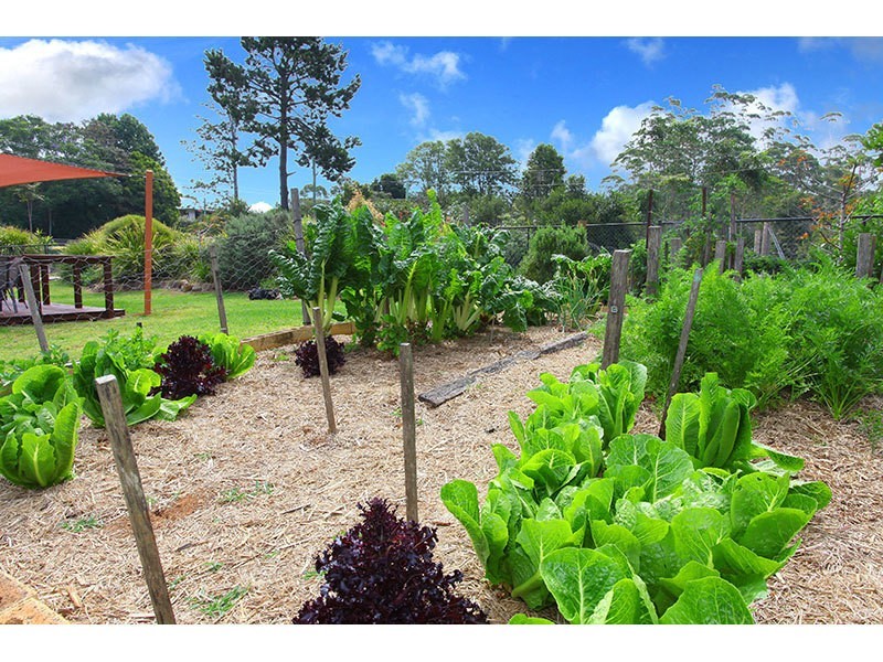 37 North Road, Lower Beechmont QLD 4211