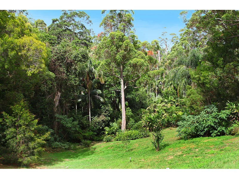 194 Freemans Road, Lower Beechmont QLD 4211