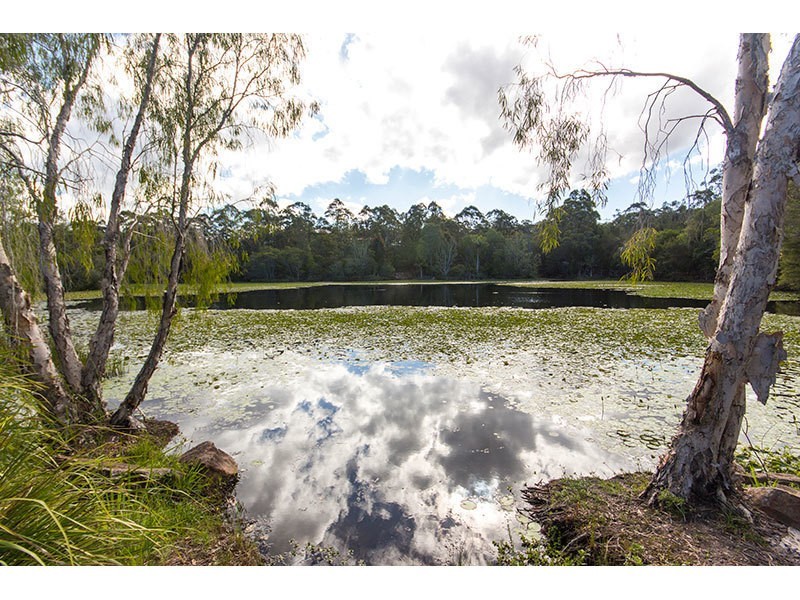 1 Mulwala Street, Maudsland QLD 4210
