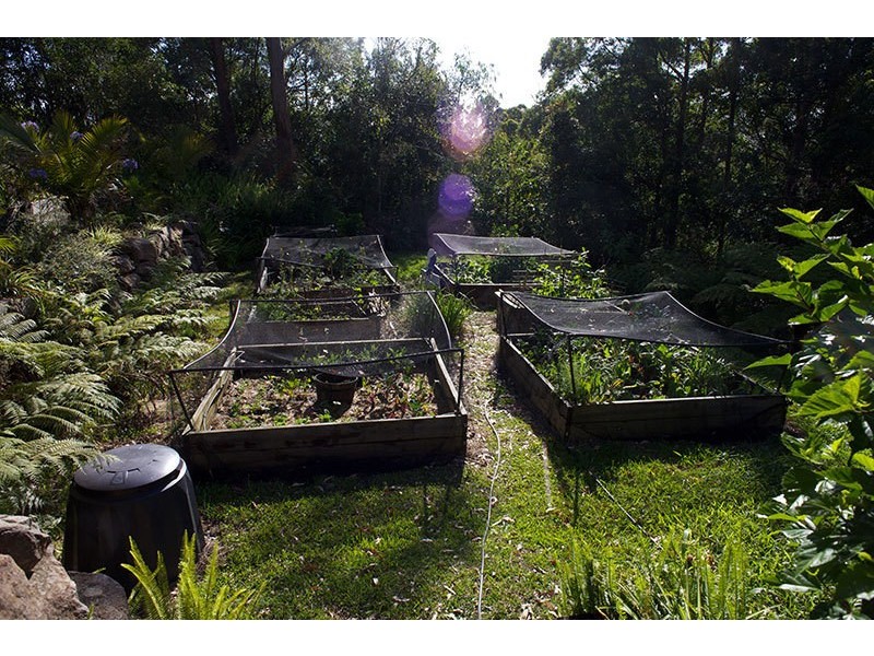 14 Hellfire Pass, Lower Beechmont QLD 4211