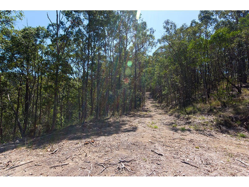 379 Beechmont Road, Lower Beechmont QLD 4211