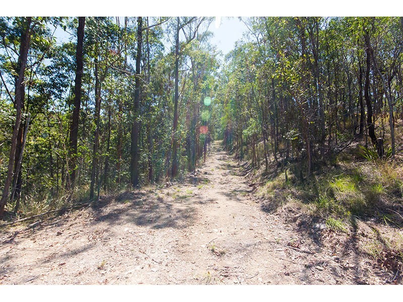 379 Beechmont Road, Lower Beechmont QLD 4211