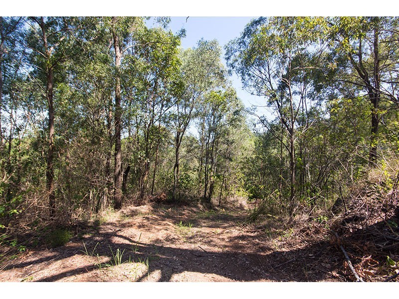 379 Beechmont Road, Lower Beechmont QLD 4211