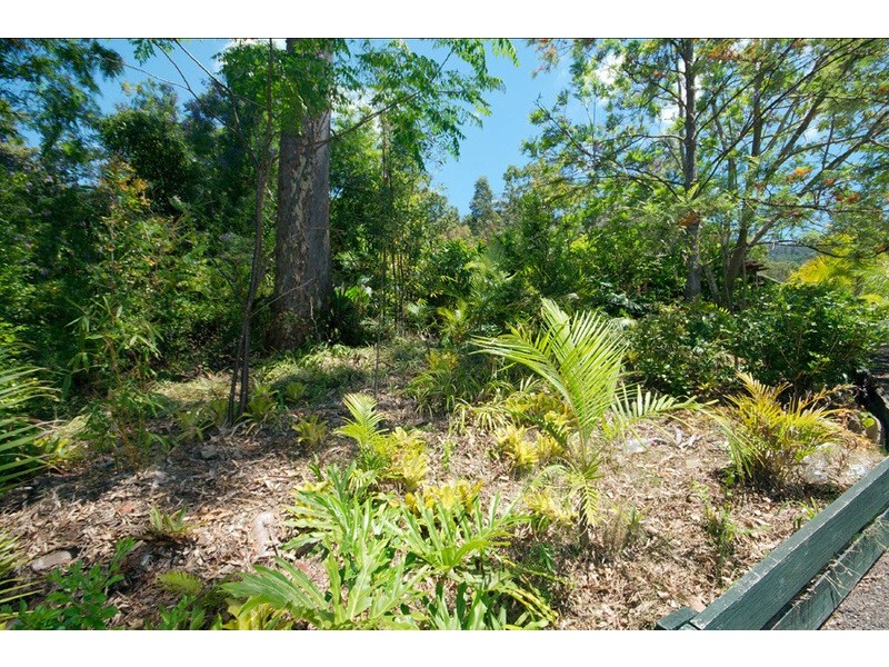 126 Narrow Leaf Road, Advancetown QLD 4211