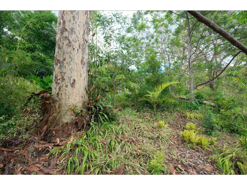 126 Narrow Leaf Road, Advancetown QLD 4211