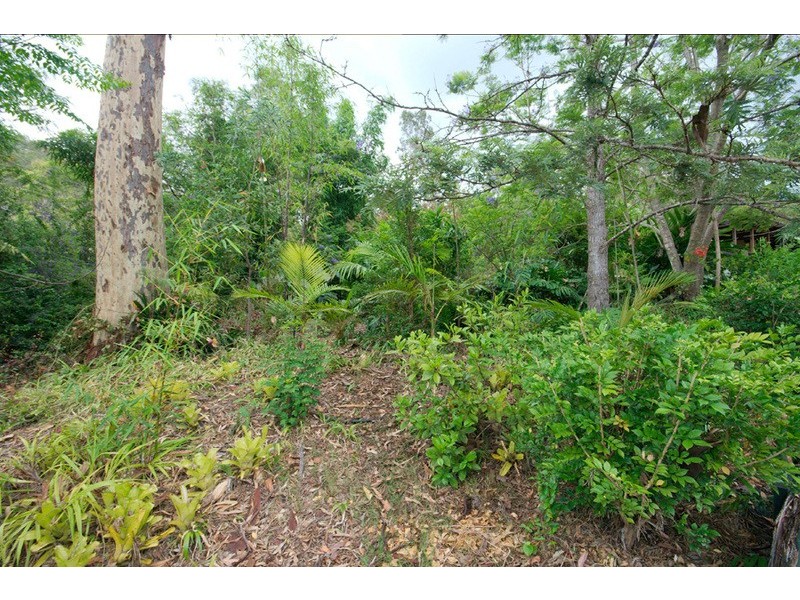 126 Narrow Leaf Road, Advancetown QLD 4211