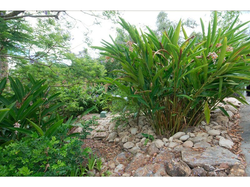 126 Narrow Leaf Road, Advancetown QLD 4211