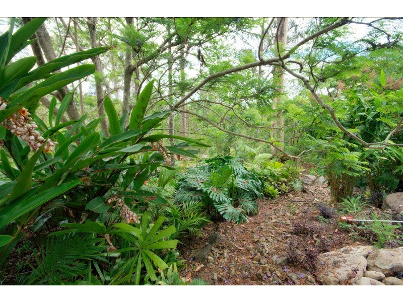 126 Narrow Leaf Road, Advancetown QLD 4211