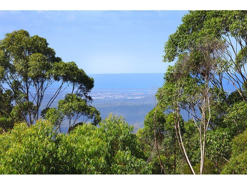 24 Freemans Road, Lower Beechmont QLD 4211