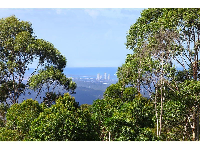 24 Freemans Road, Lower Beechmont QLD 4211