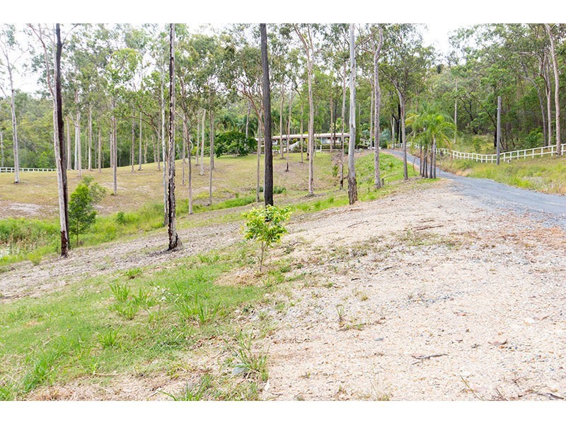 767 Gilston Road, Gilston QLD 4211