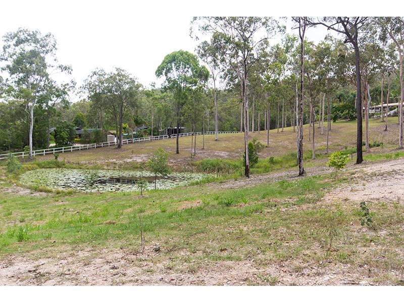 767 Gilston Road, Gilston QLD 4211