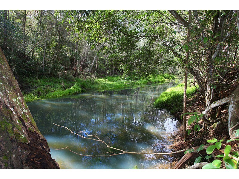 113 Clagiraba Road, Clagiraba QLD 4211