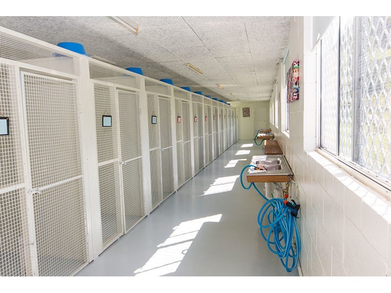 21 Canungra Court, Clagiraba QLD 4211