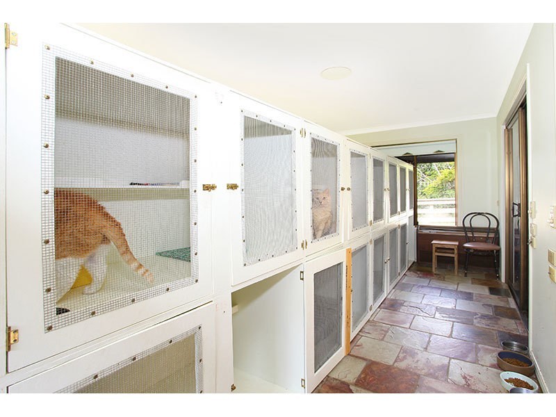 21 Canungra Court, Clagiraba QLD 4211