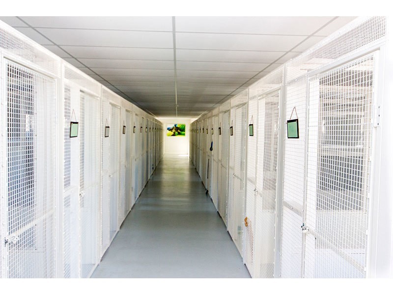 21 Canungra Court, Clagiraba QLD 4211