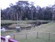 Nerang QLD 4211
