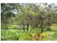 32 Riverlea Waters Drive, Nerang QLD 4211