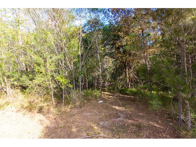 24 Lily Crescent, Nerang QLD 4211