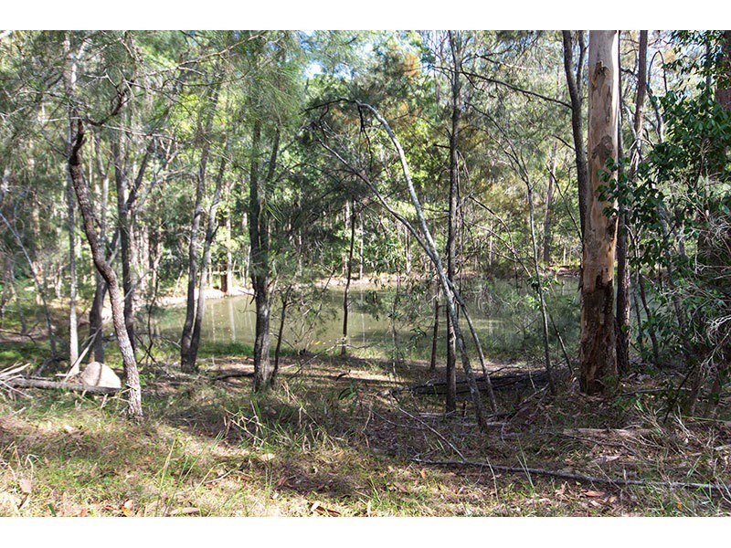 24 Lily Crescent, Nerang QLD 4211