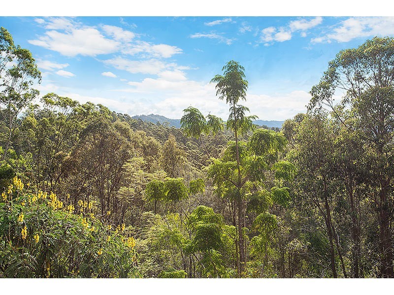 168 Clagiraba Road, Clagiraba QLD 4211