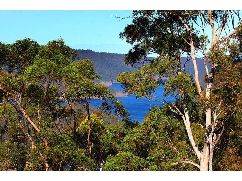 25 Brushbox Road, Lower Beechmont QLD 4211