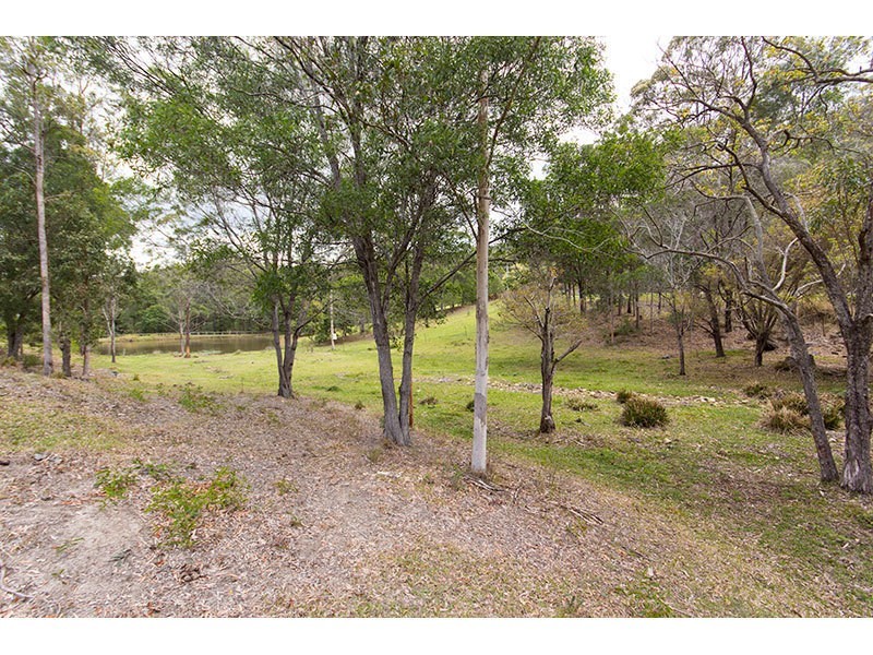 17 Parkway Drive, Advancetown QLD 4211