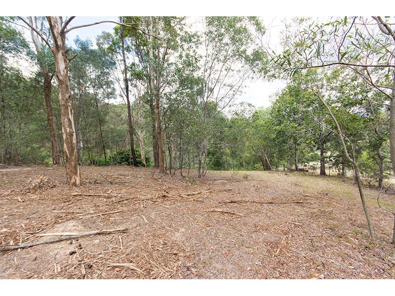 17 Parkway Drive, Advancetown QLD 4211