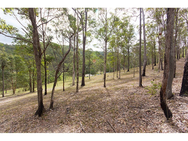 17 Parkway Drive, Advancetown QLD 4211