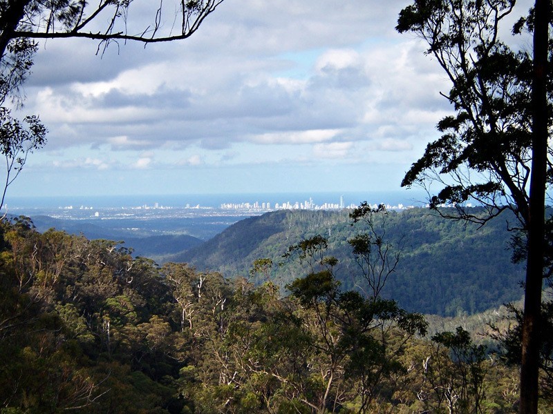 2209 Springbrook Road, Springbrook QLD 4213