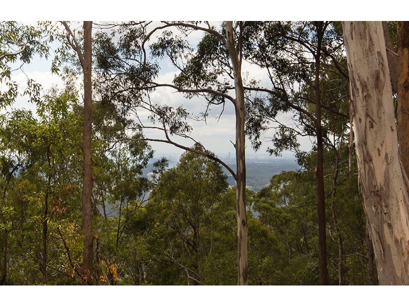 5 Brushbox Road, Lower Beechmont QLD 4211