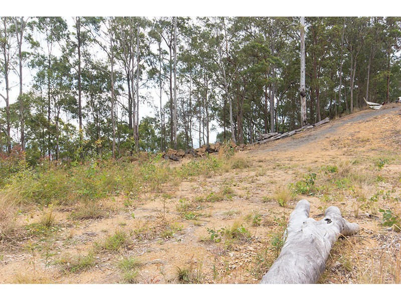 5 Brushbox Road, Lower Beechmont QLD 4211