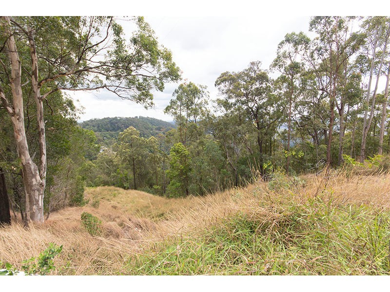 5 Brushbox Road, Lower Beechmont QLD 4211