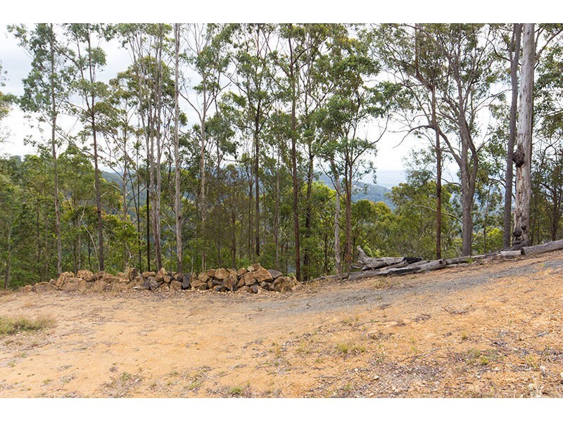 5 Brushbox Road, Lower Beechmont QLD 4211