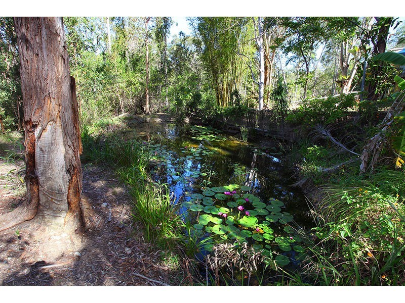 4a  Arjuna Way, Gaven QLD 4211