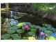4a  Arjuna Way, Gaven QLD 4211