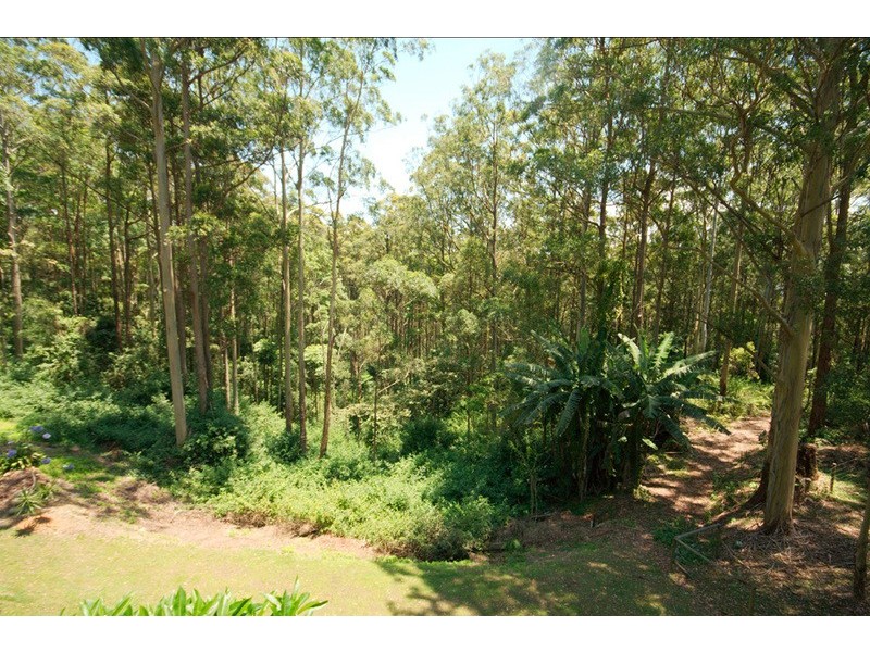 164 North Road, Lower Beechmont QLD 4211