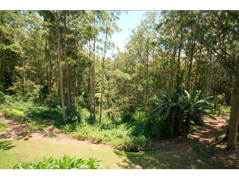 164 North Road, Lower Beechmont QLD 4211