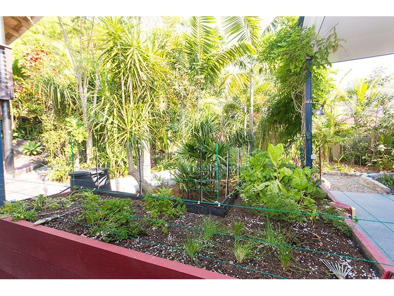 61 Balyando Drive, Nerang QLD 4211
