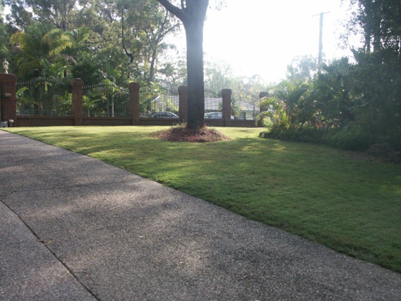 Nerang QLD 4211