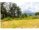 50 Tarlington Road, Lower Beechmont QLD 4211