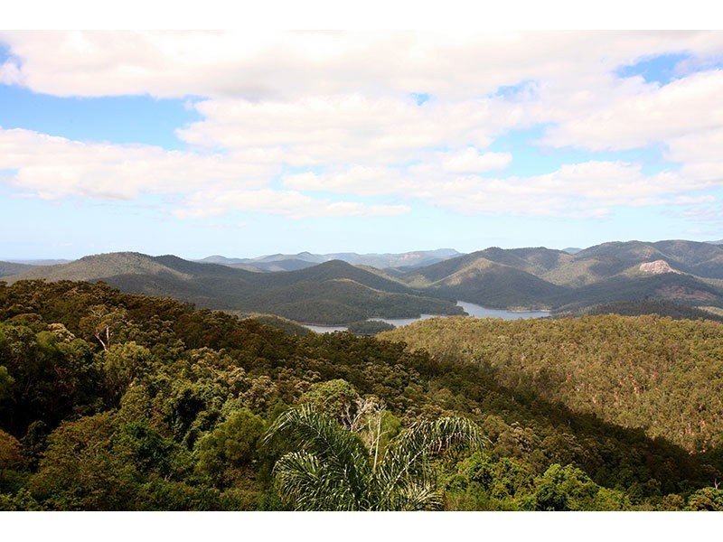 50 Tarlington Road, Lower Beechmont QLD 4211