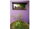 5 Yarandin Court, Worongary QLD 4213
