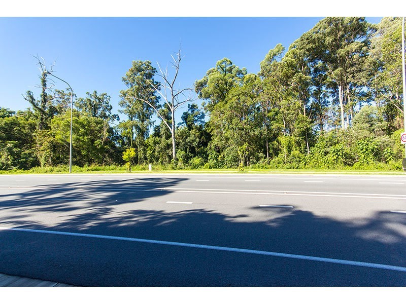 159 Gilston Road, Nerang QLD 4211