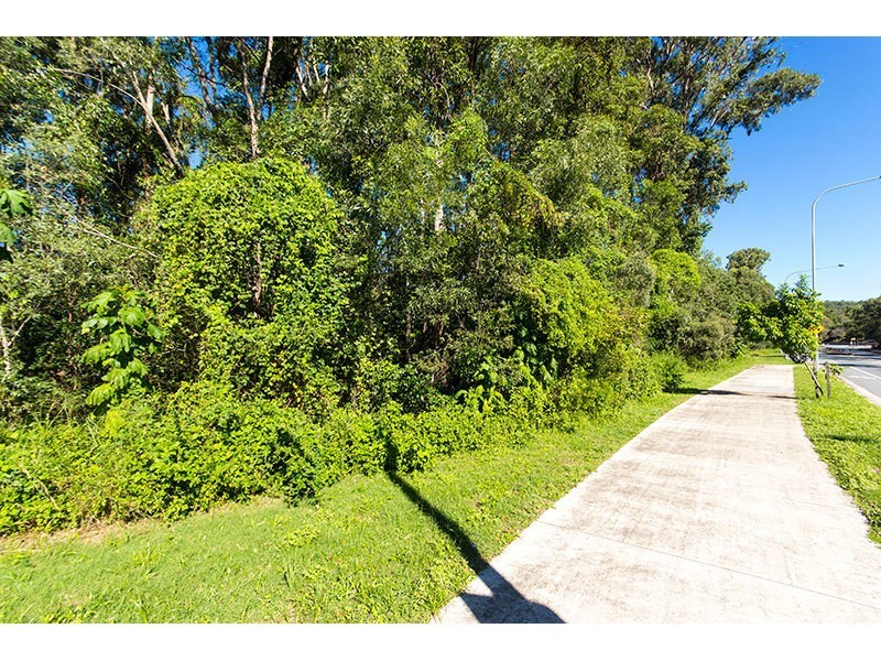 159 Gilston Road, Nerang QLD 4211