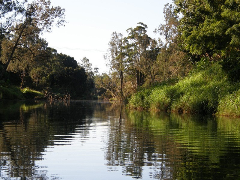14 Collaroy Road, Guanaba QLD 4210