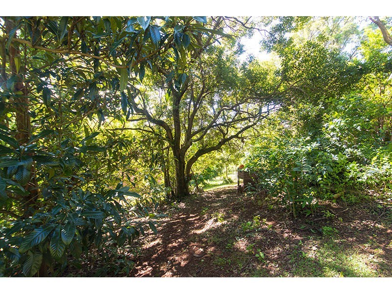 61 Akoonah Drive, Beechmont QLD 4211